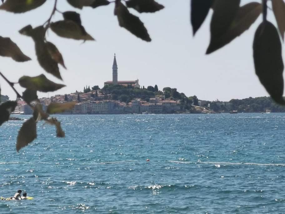 Studio Apartment Rosemary Rovinj Exterior photo