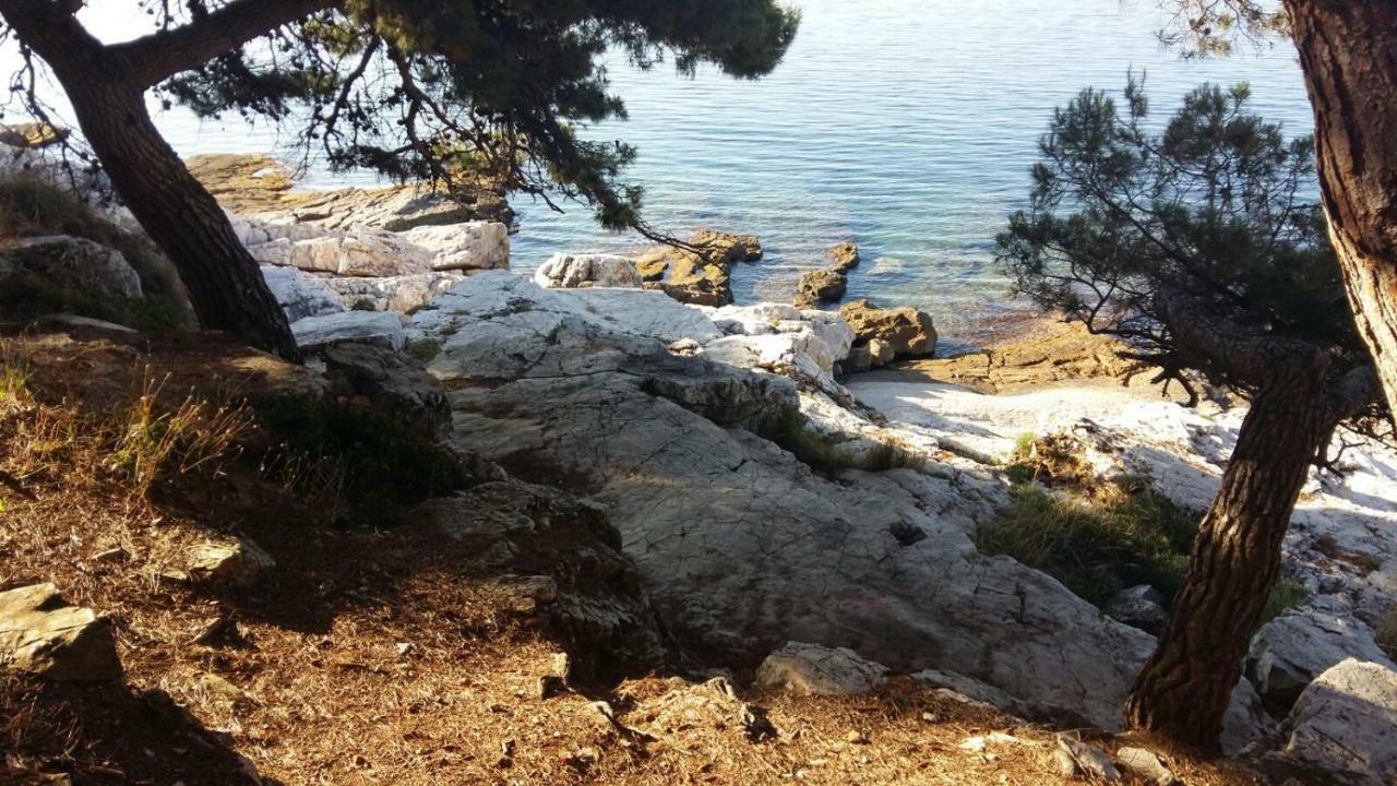 Studio Apartment Rosemary Rovinj Exterior photo